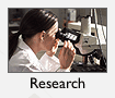Research